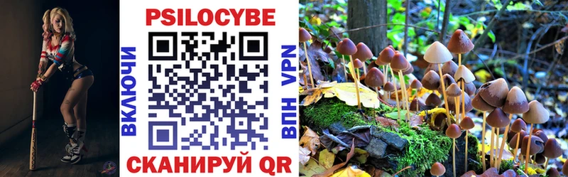 Псилоцибиновые грибы мухоморы  Пятигорск 